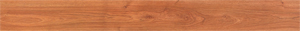 <img src="images/Logo_TZ-XL.png" width="189" height="80" />